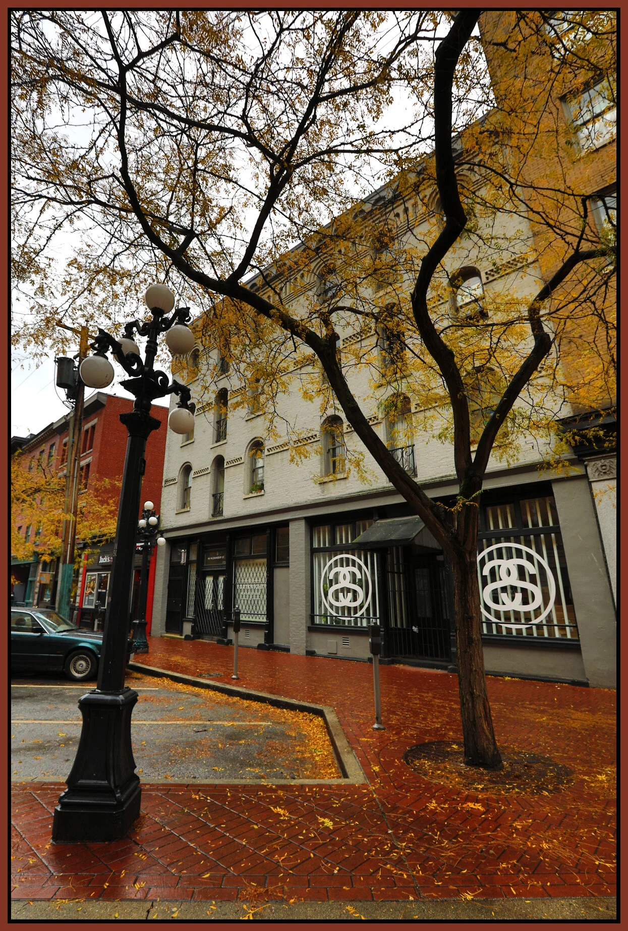 Gastown Alexander St Tree_Nov 18_2017_HDR_B0275_4x6s.jpg