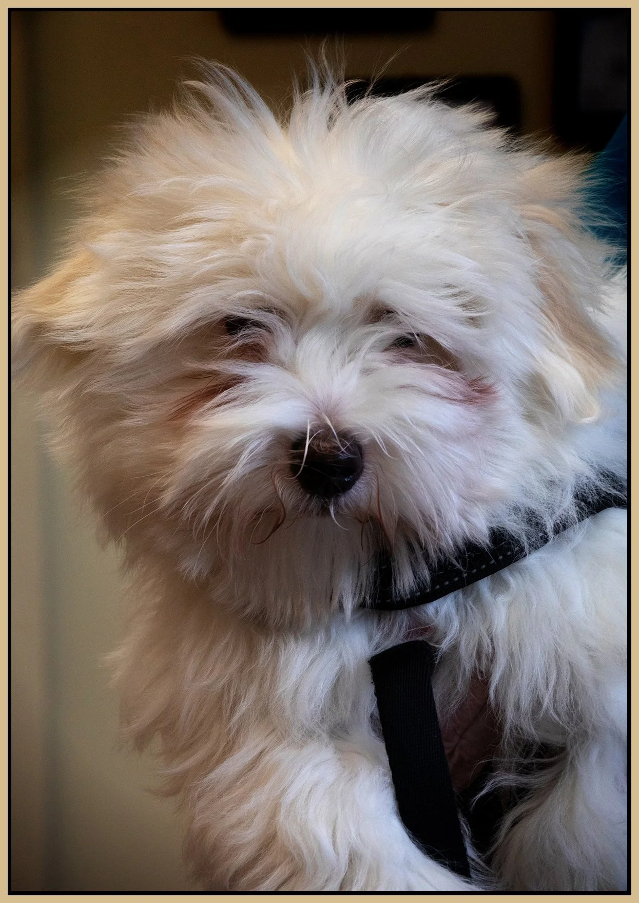 Micah_Feb 2_2023_HDR_4H5465_peConrast_DecRadVig_4x6s.jpg