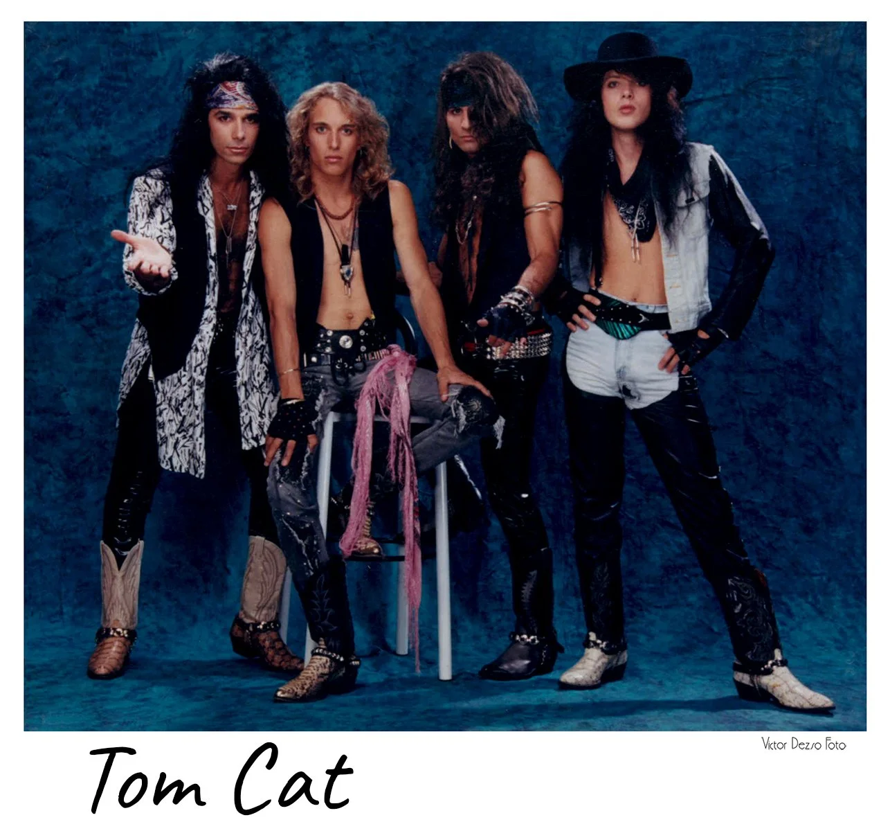 Tom Cat_0007_4x5.jpg