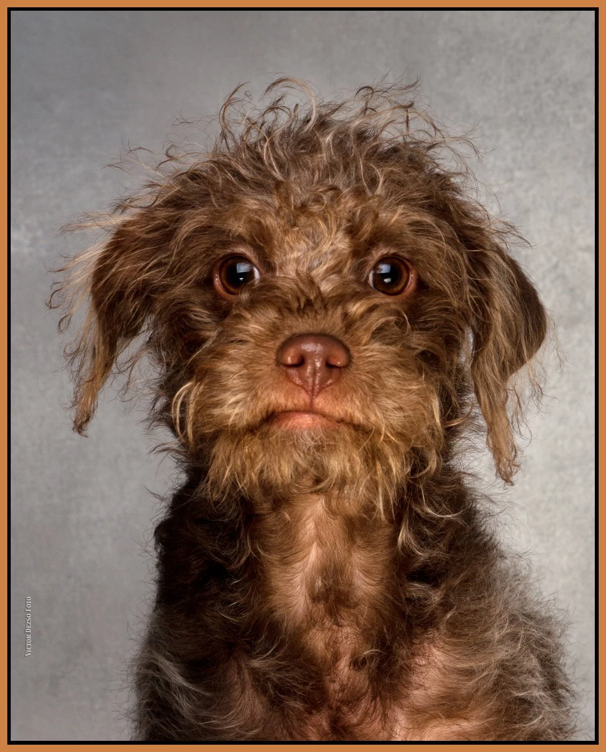 Frances Stewart_Feb 14_2015_F0496_4x5s.jpg