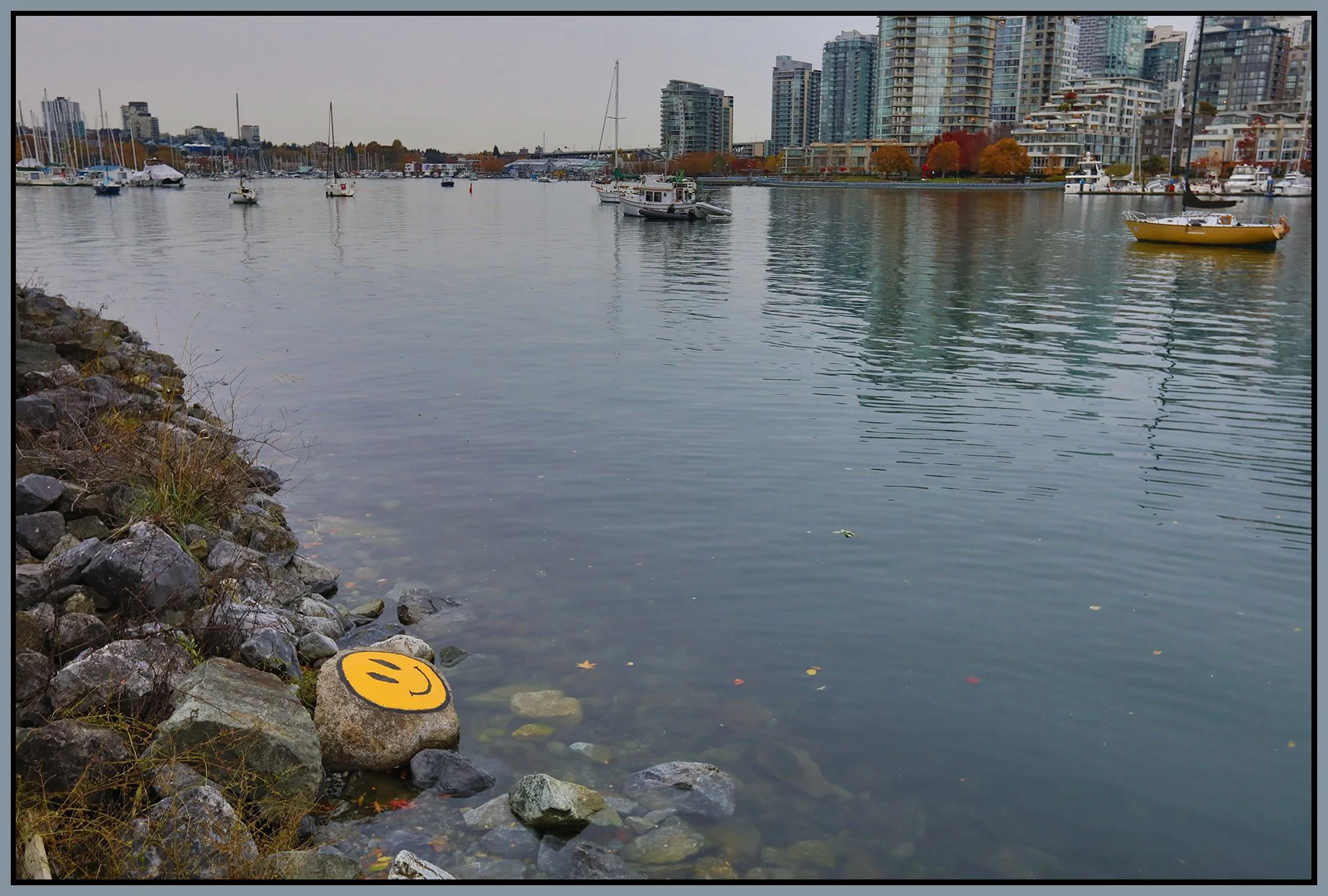 False Crek Happy Face_Nov 11_2022_HDR_5C5317_4x6s.jpg