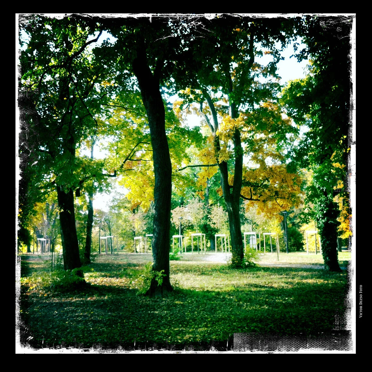 Gödölö_Oct_27_2011_0966_4x4.jpg