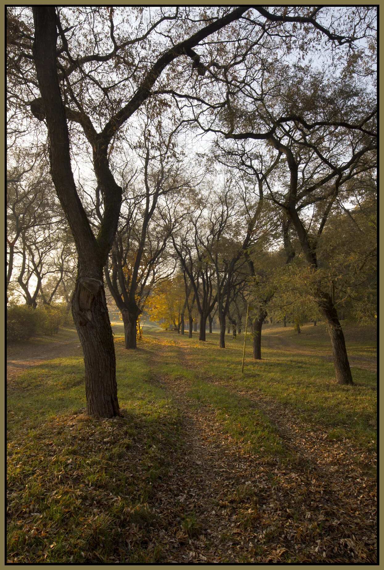 Vác_Nov 1_2011_9083_4x6s.jpg