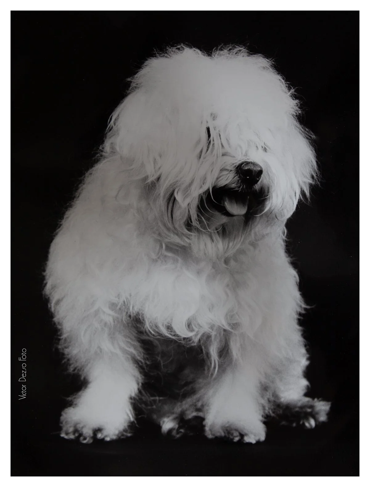 Lemmy 1970's_1753_4x5.jpg