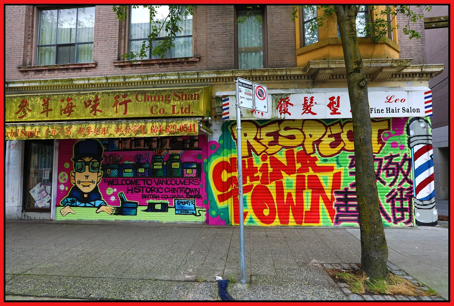 Chinatown Murals_Jun 19_2022_HDR_5B7575_4x6s.jpg