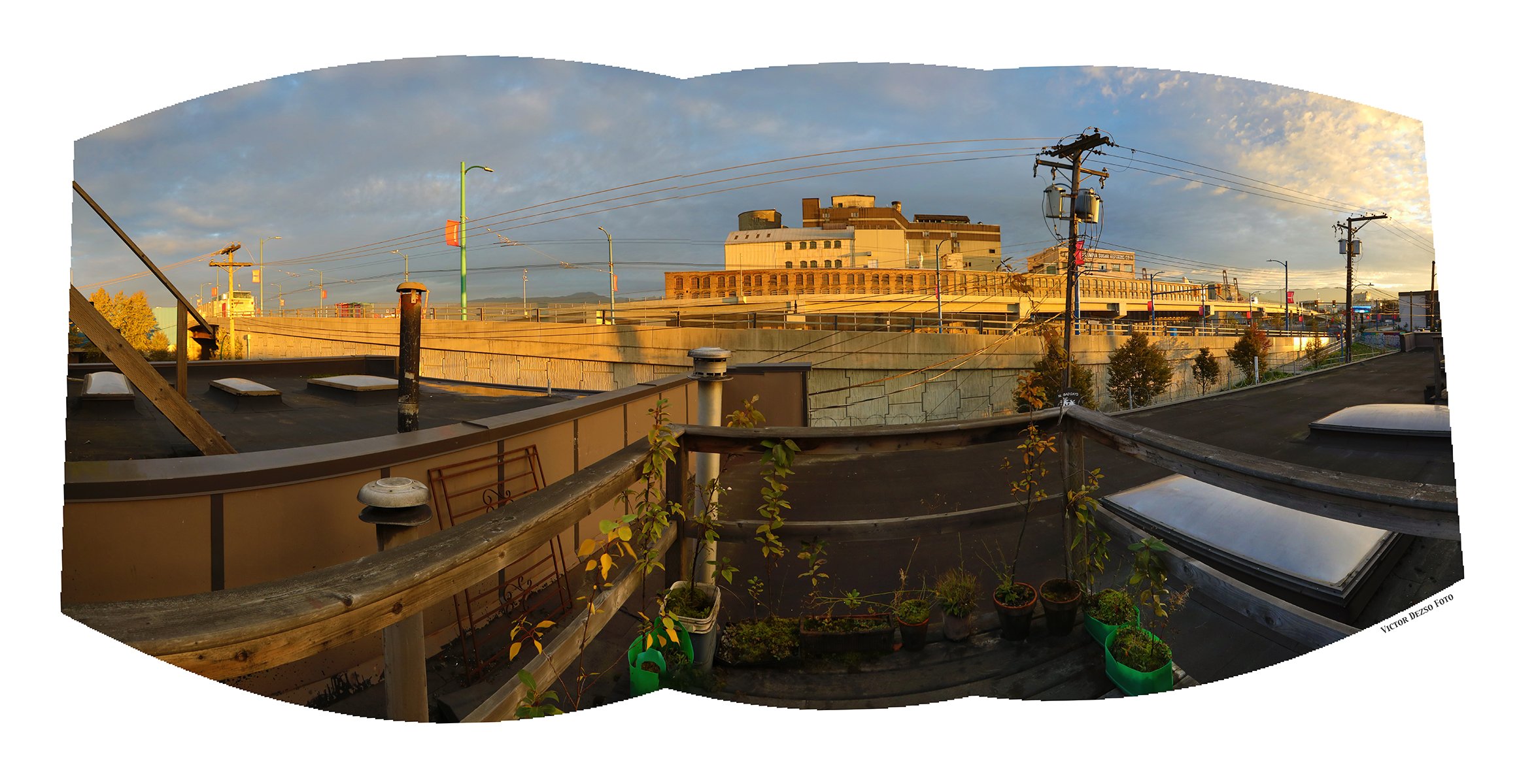 301 Raymur LkgN_Oct 7_2024_HDR_Pan_5E2278_4x8.jpg