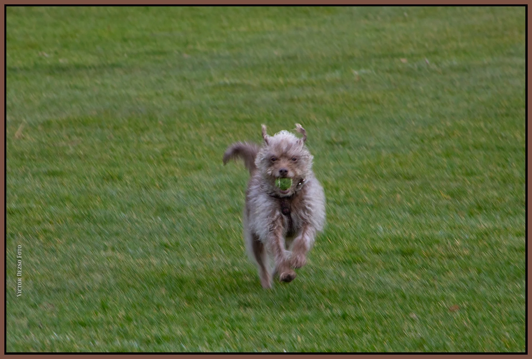 Frances in Queens Park_Feb 27_2025_CR2_5E0038_4x6s.jpg