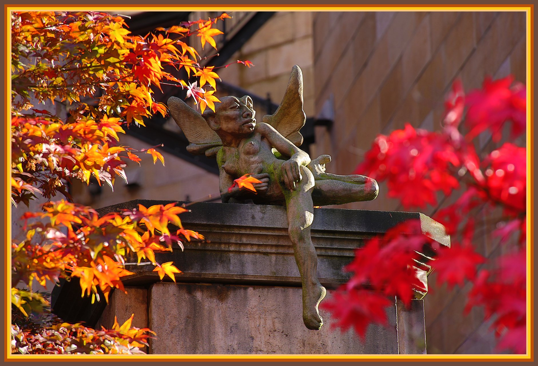 499 Drake_Fall Leaves_Nov 4_2018_HDR_A0816_4x6s.jpg