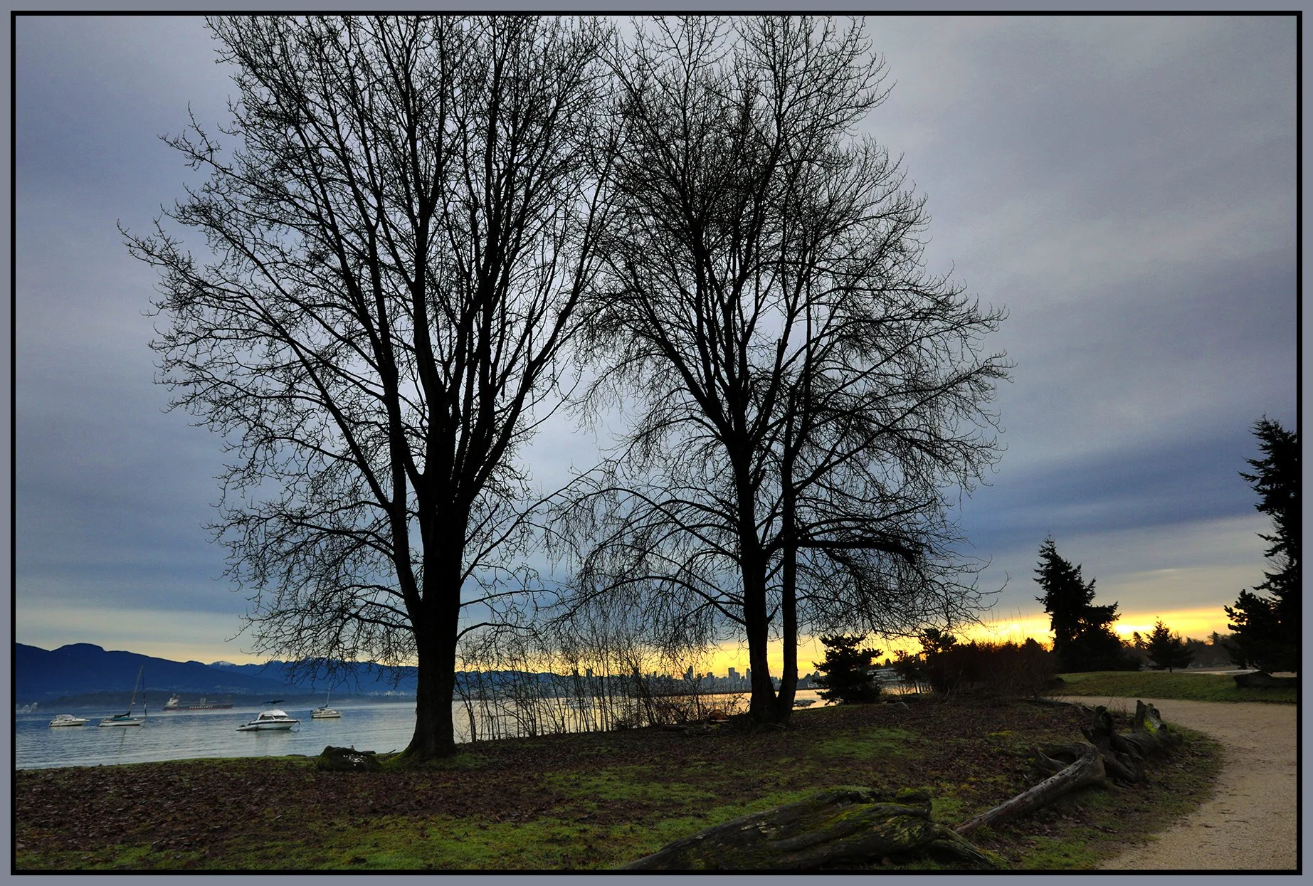 Jericho Park Trees LkgNE_Feb 4_2026_HDR_4K7826_4x6s.jpg