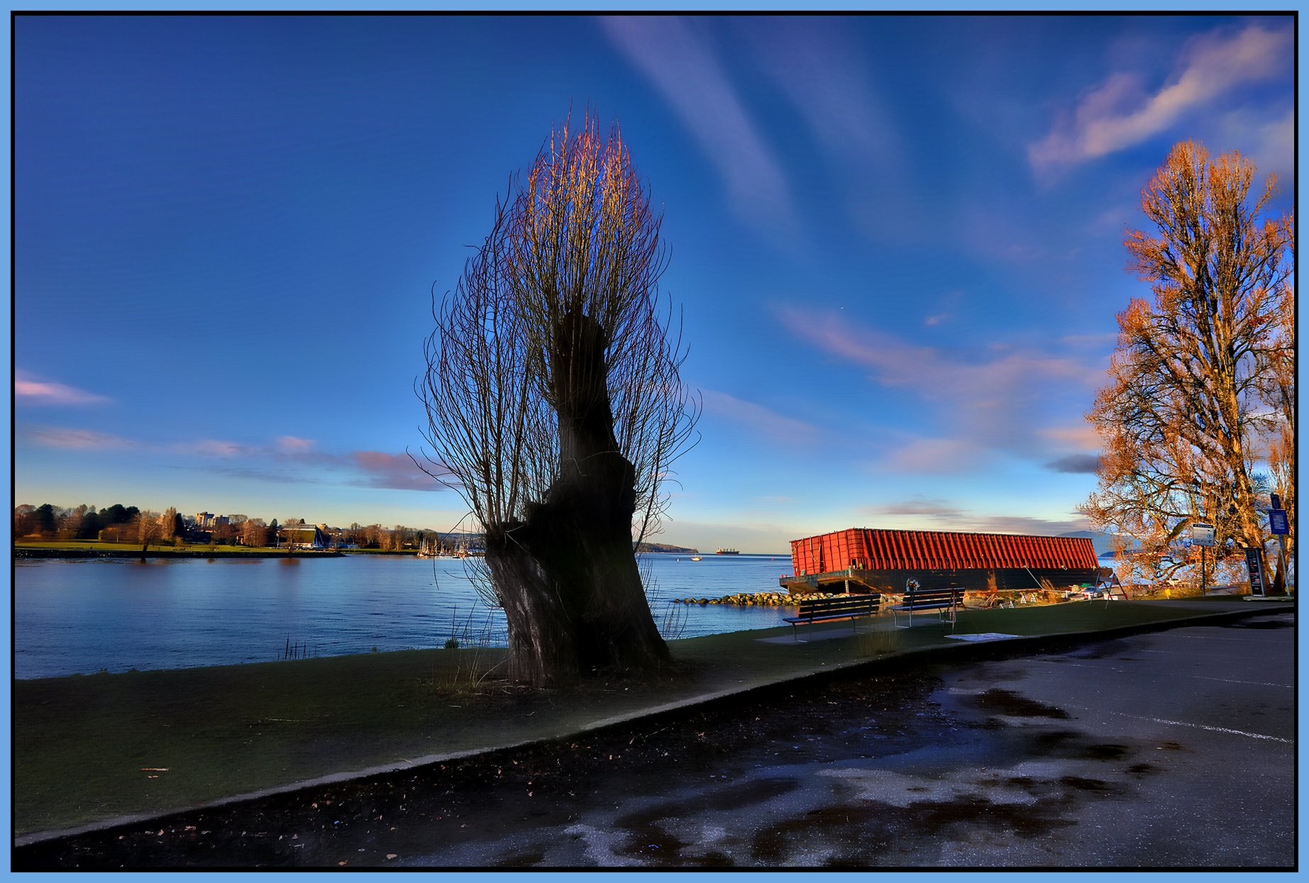 English Bay Tree & Barge_Jan 31_2021_HDR_Pan_5A82725A8312_peHdr2013_1_4x6s.jpg