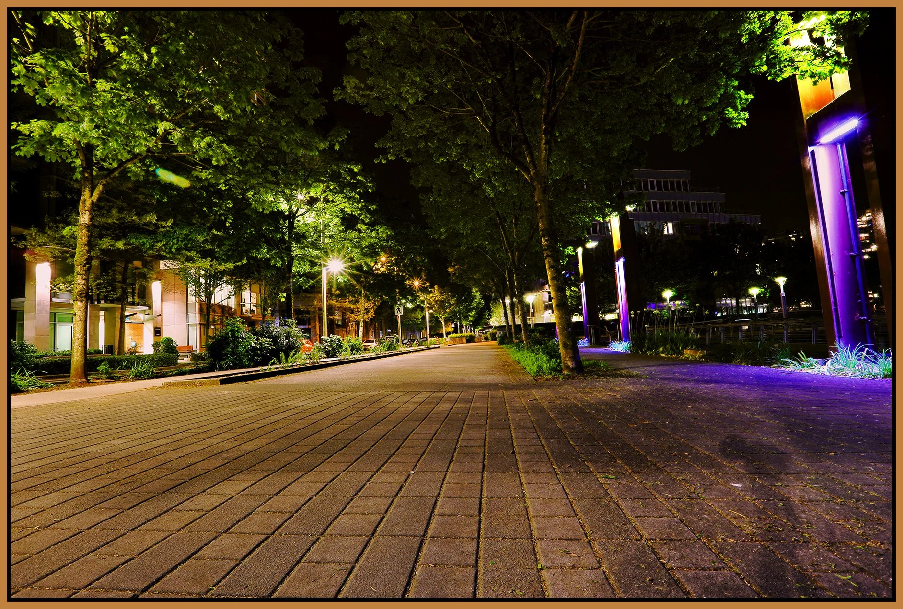 The Village Trees_May 11_2024_HDR_4H8582_peEWGT_4x6s.jpg