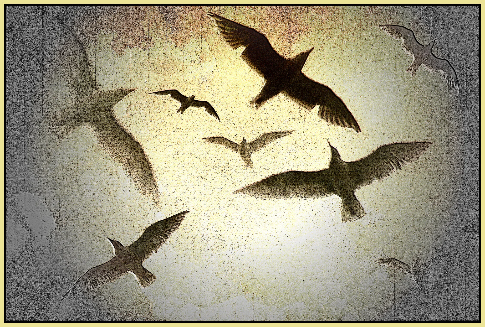 Seagulls_Aug 30_2021_CR2_5A0920&&_peAmI Dreamng_4x6s.jpg