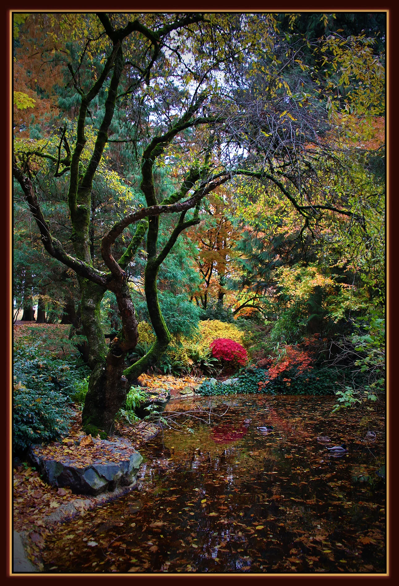 Tipperary Pk New West_Nov 11_2020_HDR_3B5297_peIntns_4x6ss.jpg