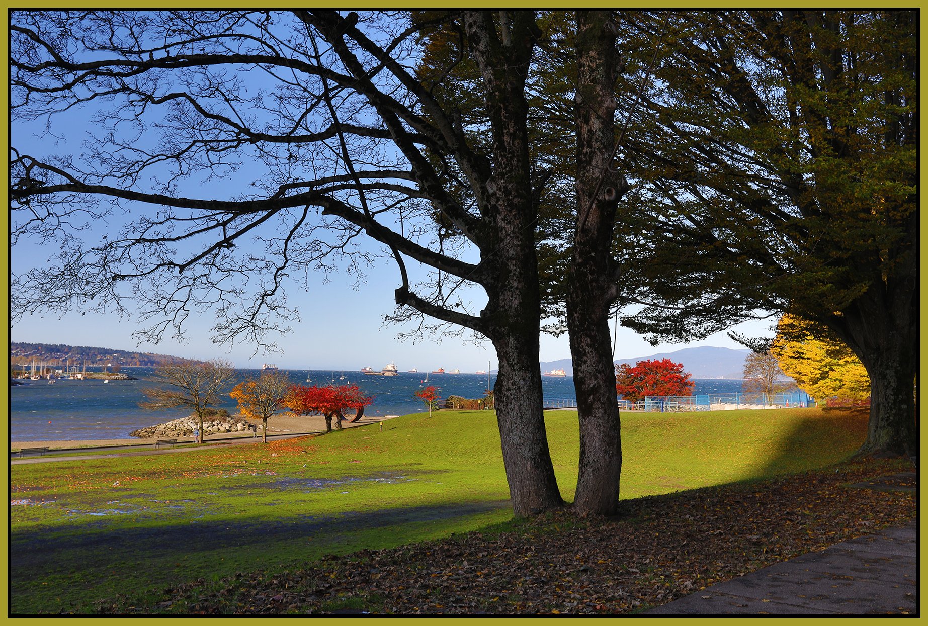 English Bay Beach Ave LkgW_Nov 7_2023_HDR_5C9336_4x6s.jpg