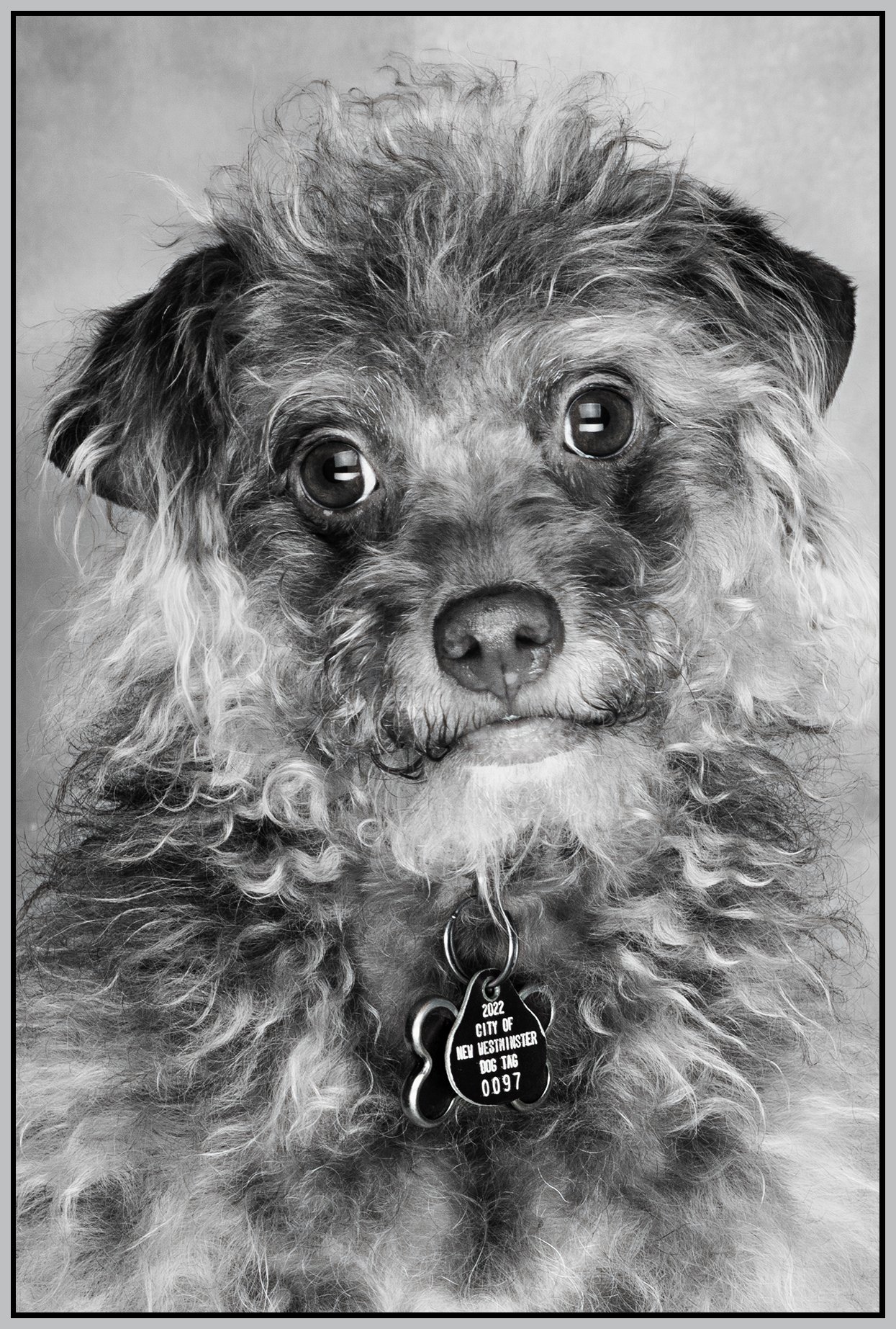 Frances Stewart_Mar 16_2022_CR2_5B0547_peBWHypr_4x6s.jpg