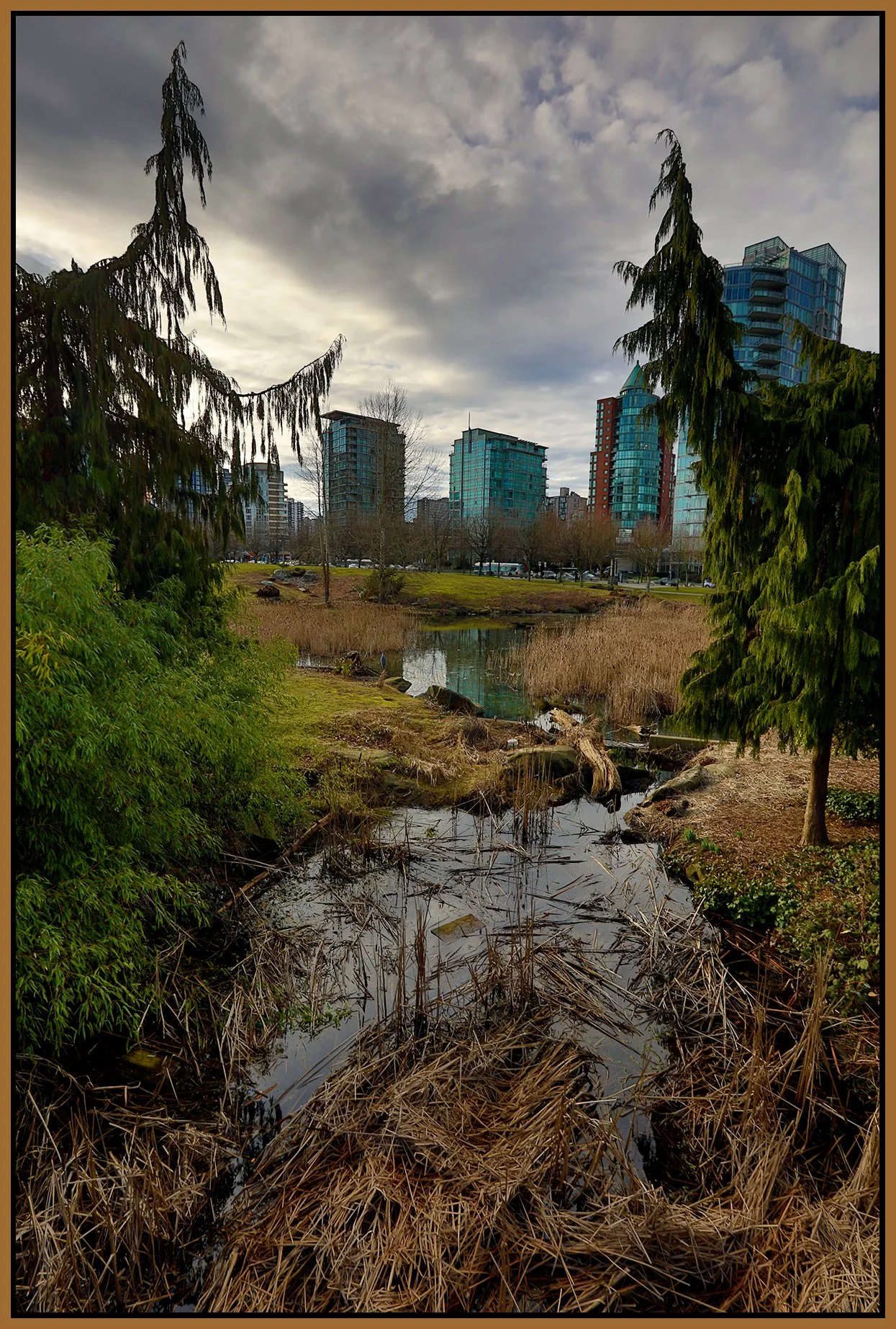 Devonian Park Bullrushes_Feb 17_2024_HDR_4H3583_4x6s.jpg