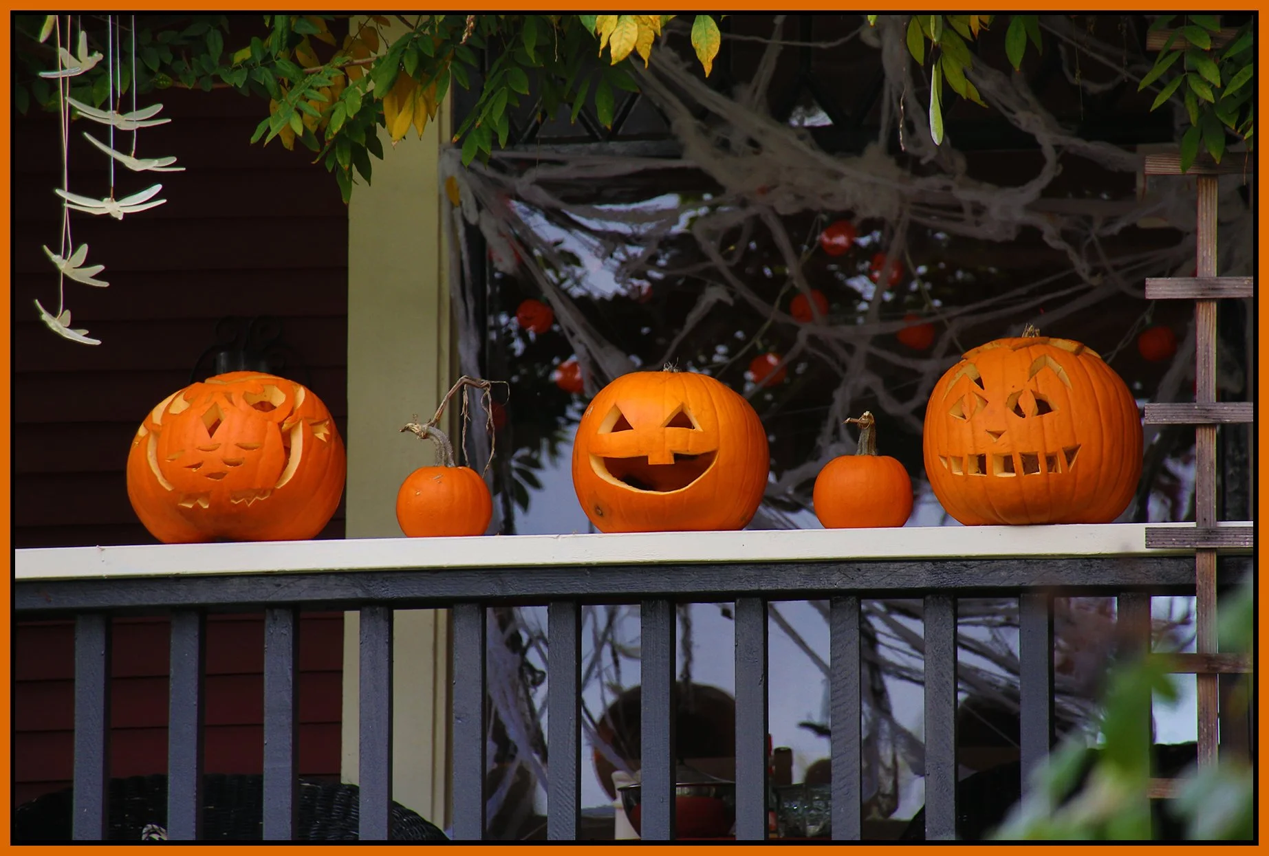 Pumpkins_Nov 2_2025_HDR_H9537_4x6s.jpg