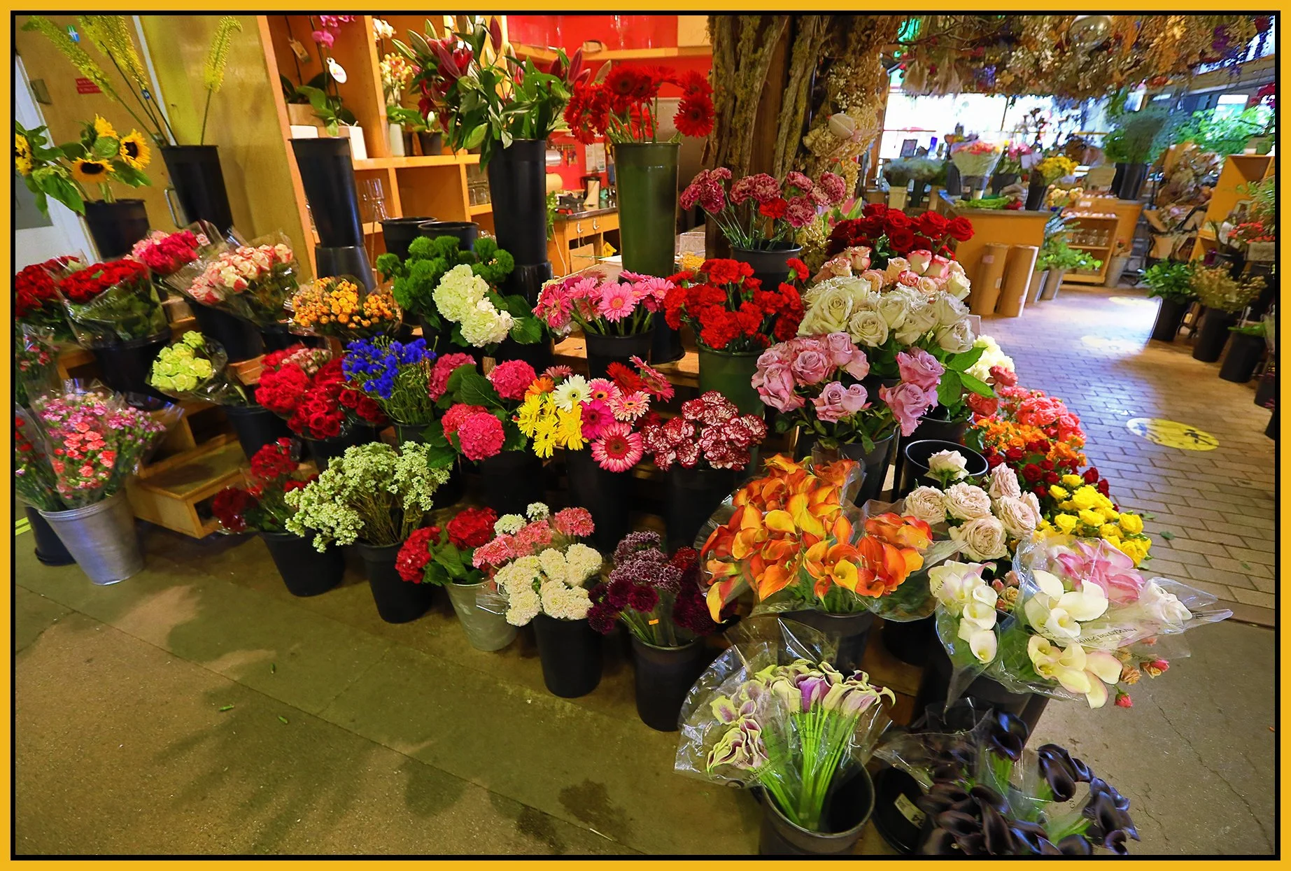 Granville Island Market Flowers_Jul 13_2022_HDR_5B0745_4x6s.jpg