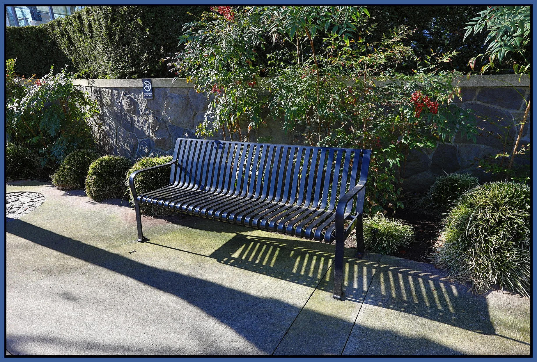 Bench on Pacific Blvd_Mar 4_2019_HDR_E3682_4x6s.jpg