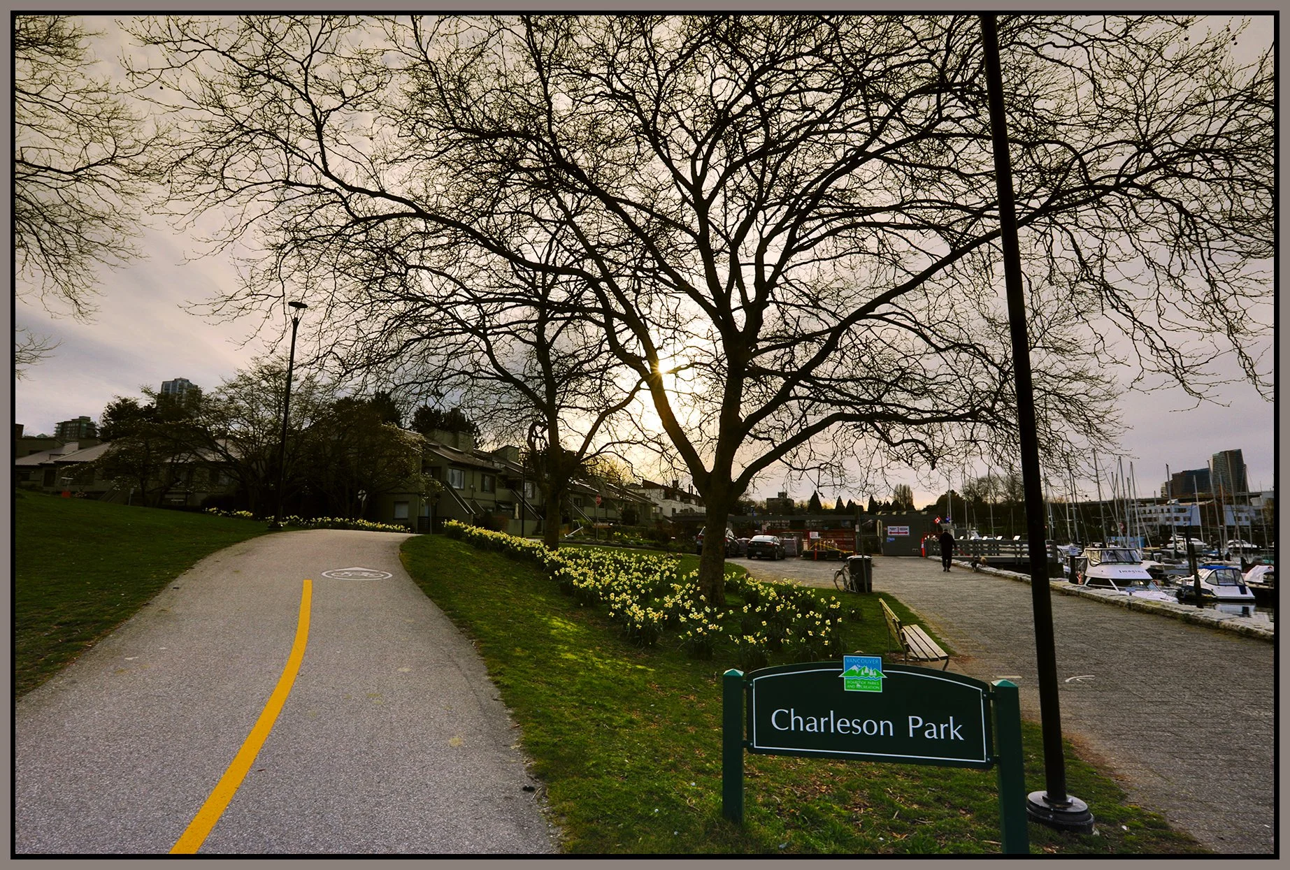 False Creek Charleson Park Trees LkgW_Mar 27_2026_HDR_4L0296_peEWGT_4x6s.jpg