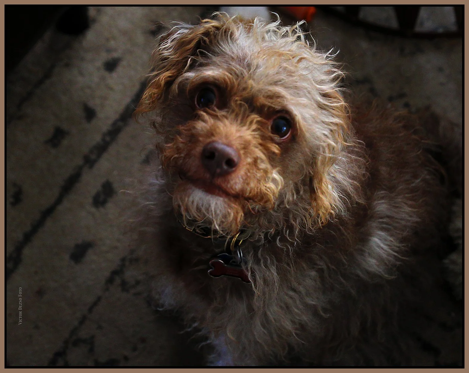 Frances_Apr 5_2023_HDR_4H5753_peSftBlur_4x5s.jpg