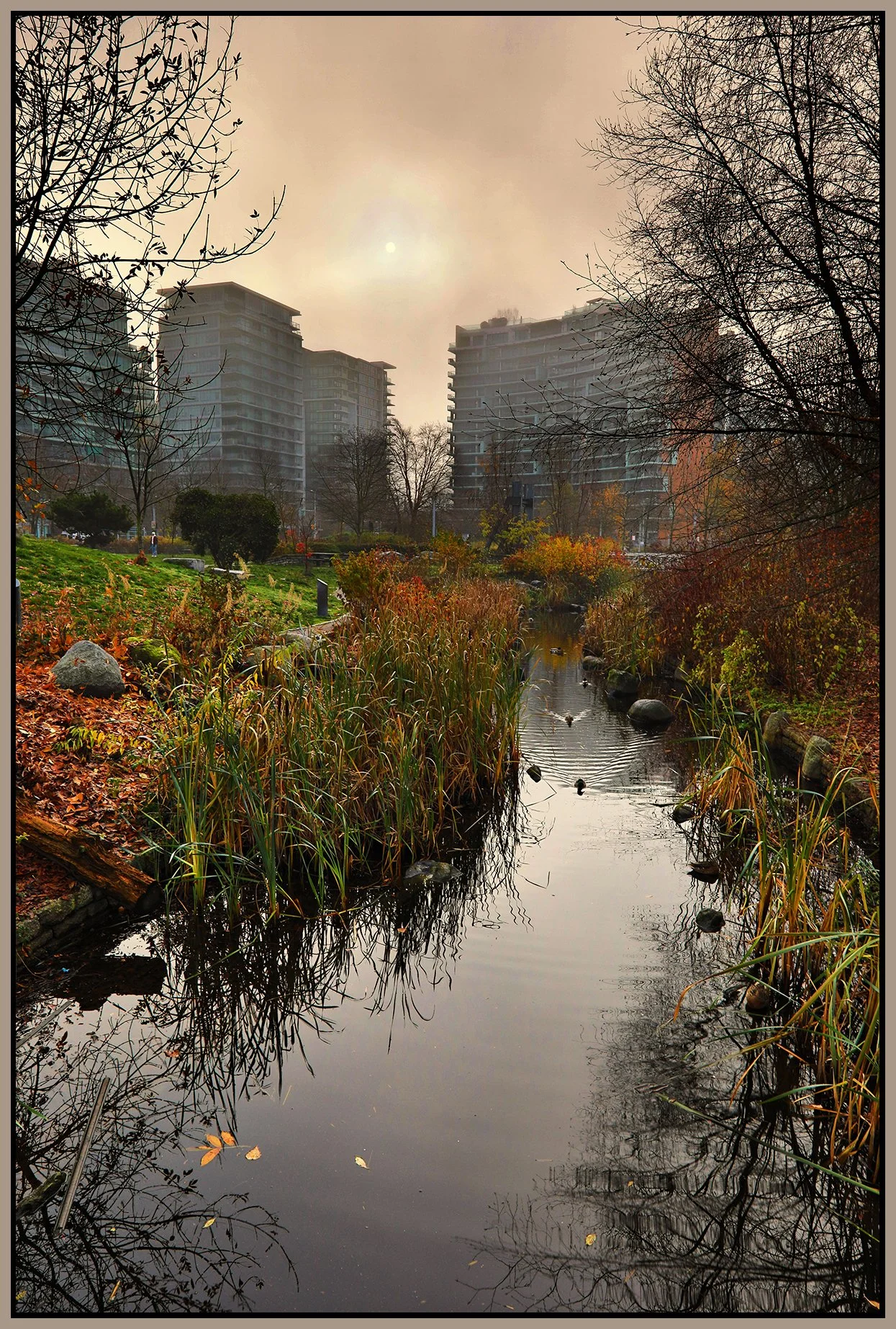 False Creek Creek in Fog_Nov 26_2023_HDR_5E0809_peWw_4x6s.jpg