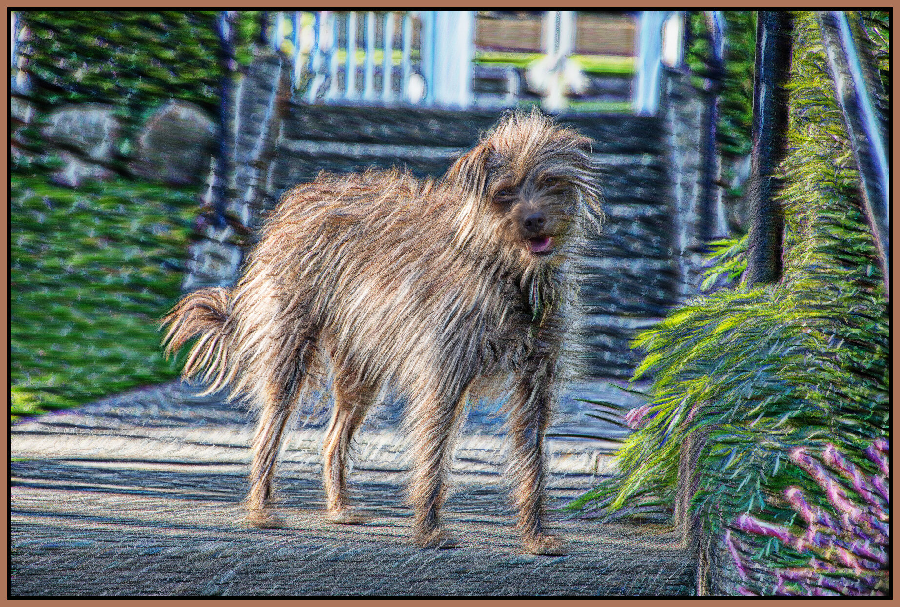 Frances_Apr 18_2021_CR2_4G7422_peStrngOil_4x6s.jpg