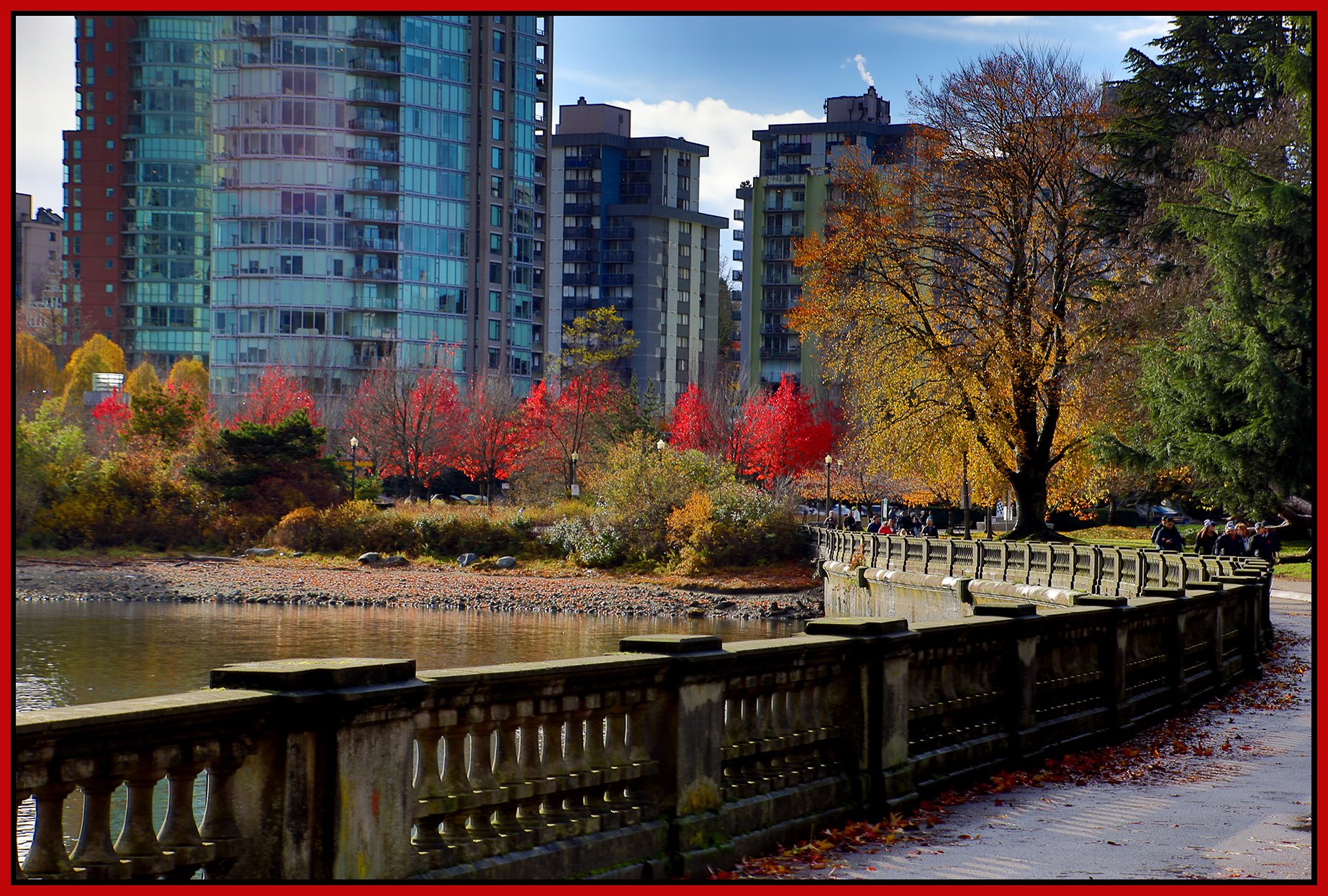 Stanley Park Fall leaves_Nov 12_2023_HDR_4H9017_4x6s.jpg