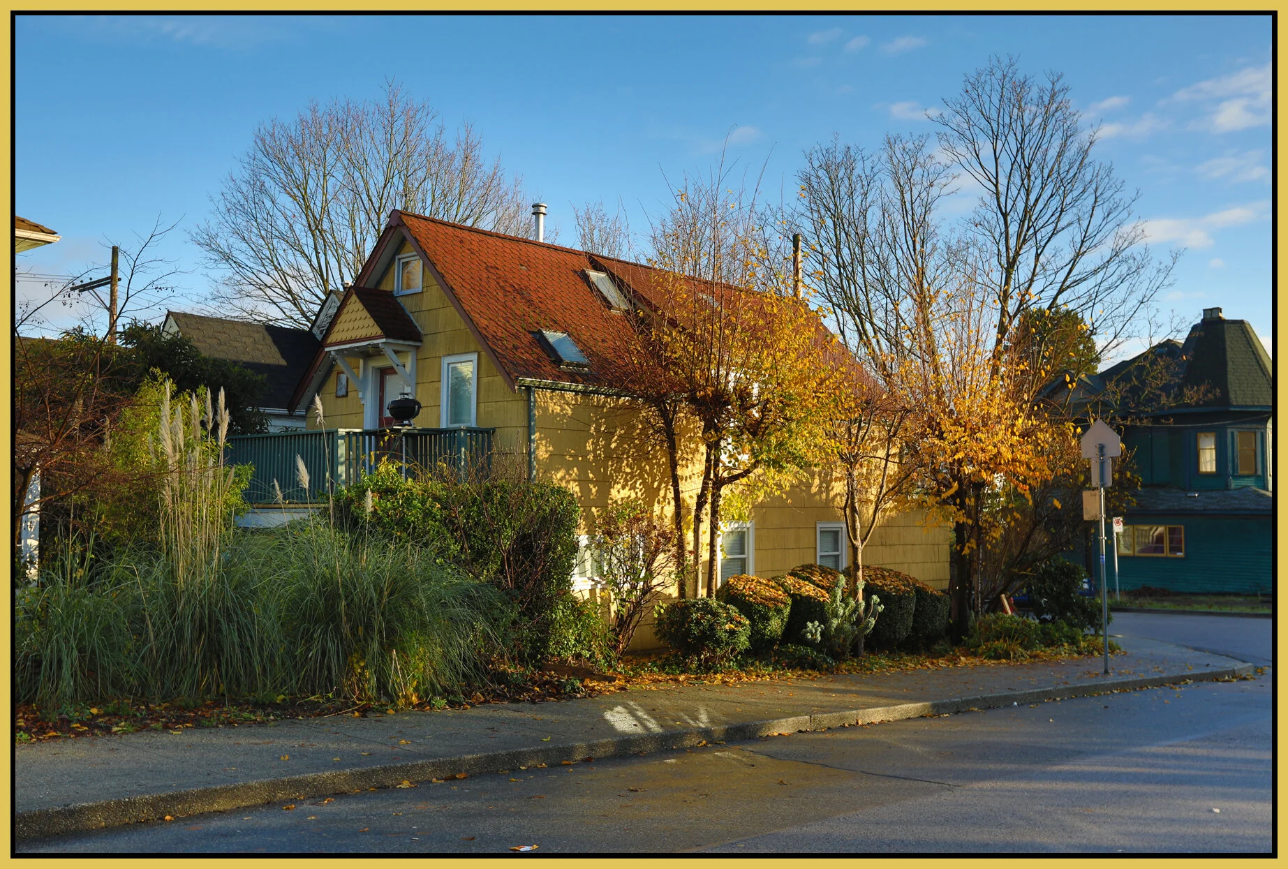 669 E Pender Trees_Nov 27_2017_HDR_B1893_4x6s.jpg