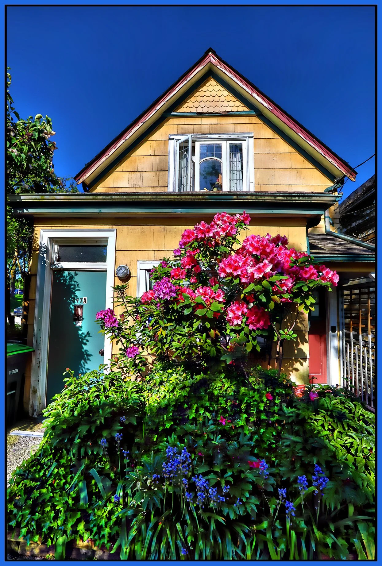 447A Heatley Flowers_May 12_2024_HDR_4H8598_peHdr2013_1_4x6s.jpg