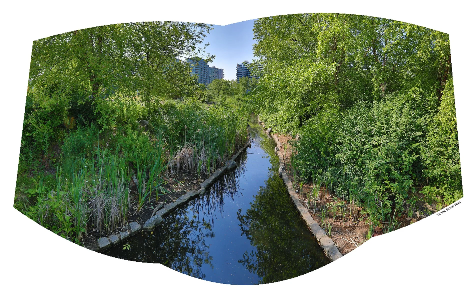 False Cr.Creek_LkgS_Jun 14_2025_HDR_Pan_4J6169_4x6.jpg