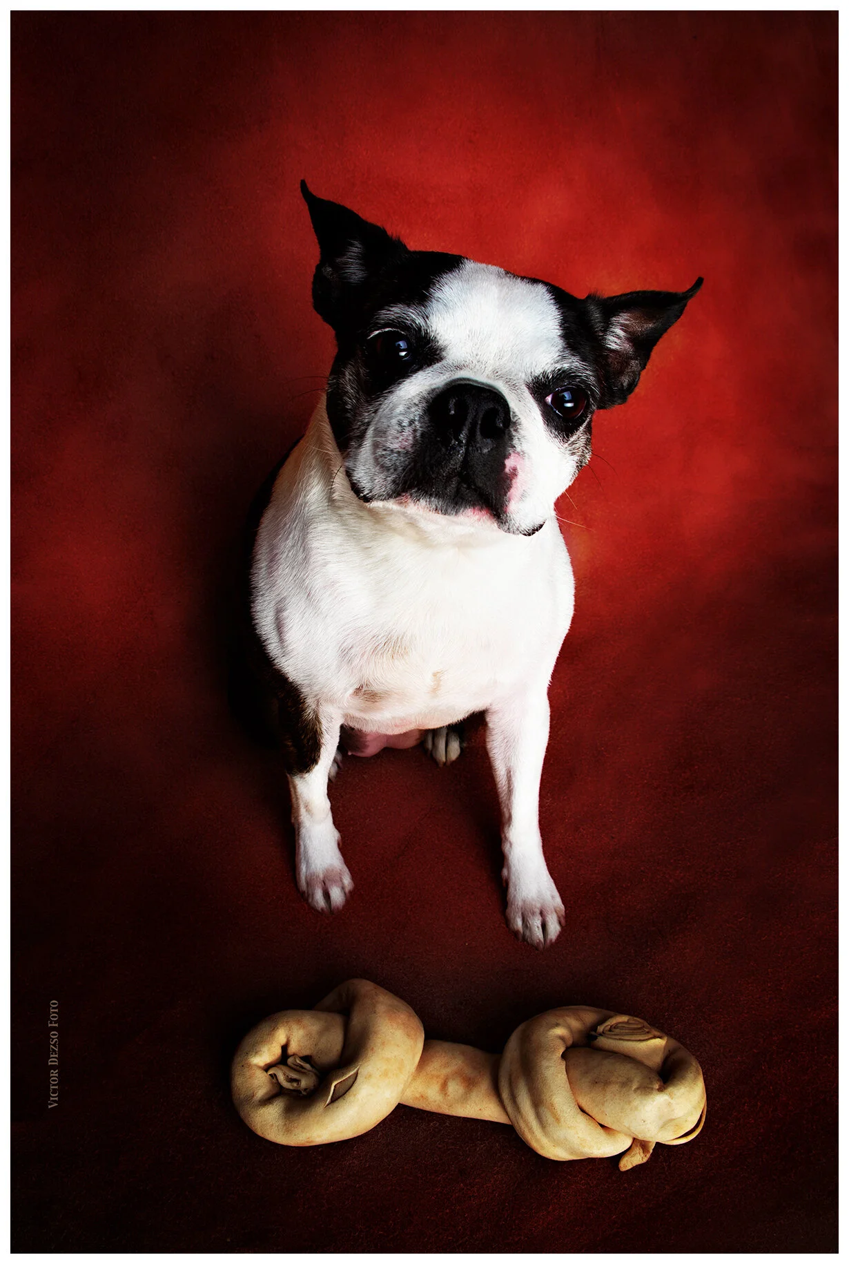 Batman_Jun 13_2020_CR2_4F5574_1_peSat&Cntrst_4x6s.jpg