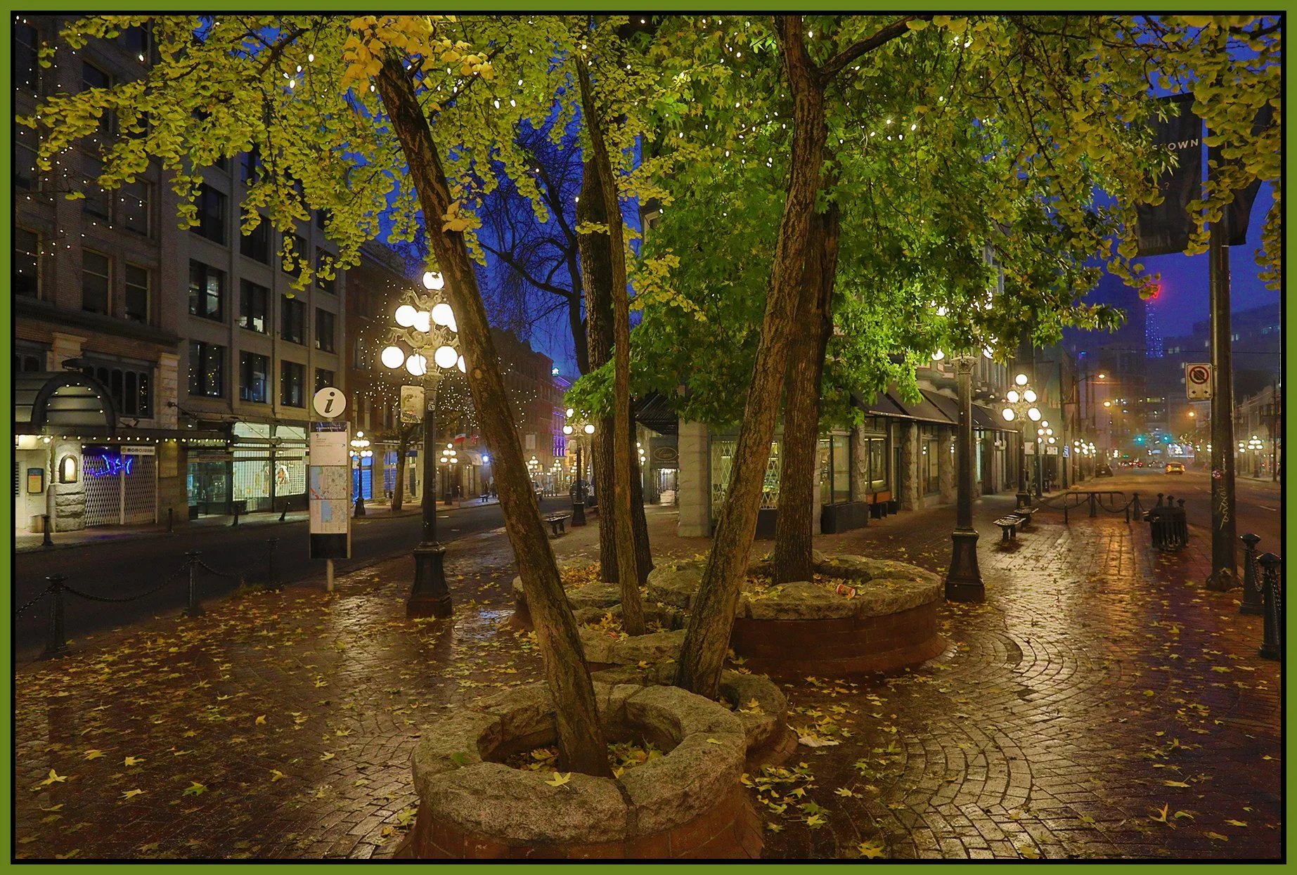 Gastown Trees_Nov 16_2022_HDR_5C6090_4x6s.jpg