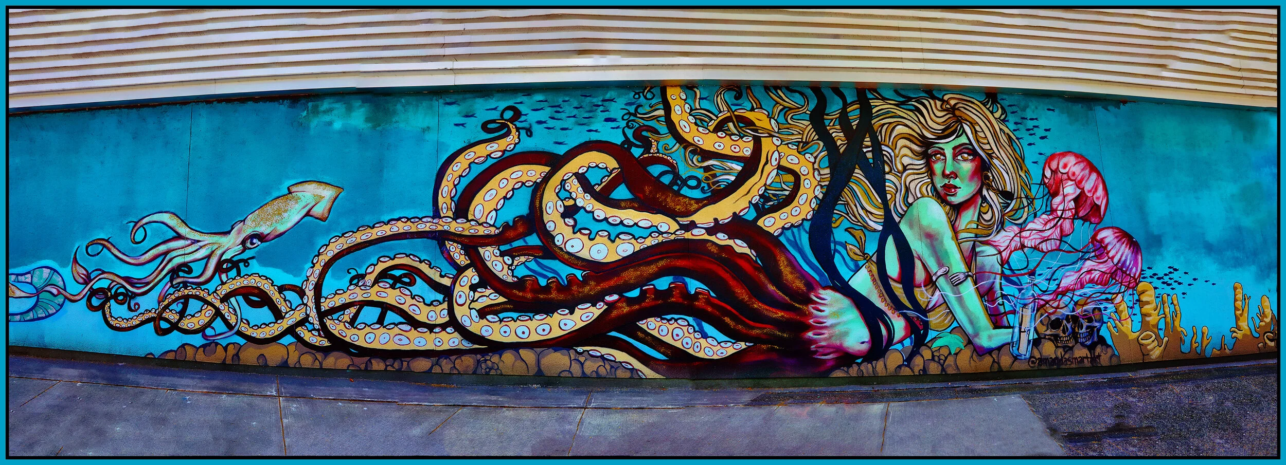 Main St at 4th Ave Mural_Jul 15_2021_HDR_Pan_5A3391_pePop_Tiffany_4x11s.jpg