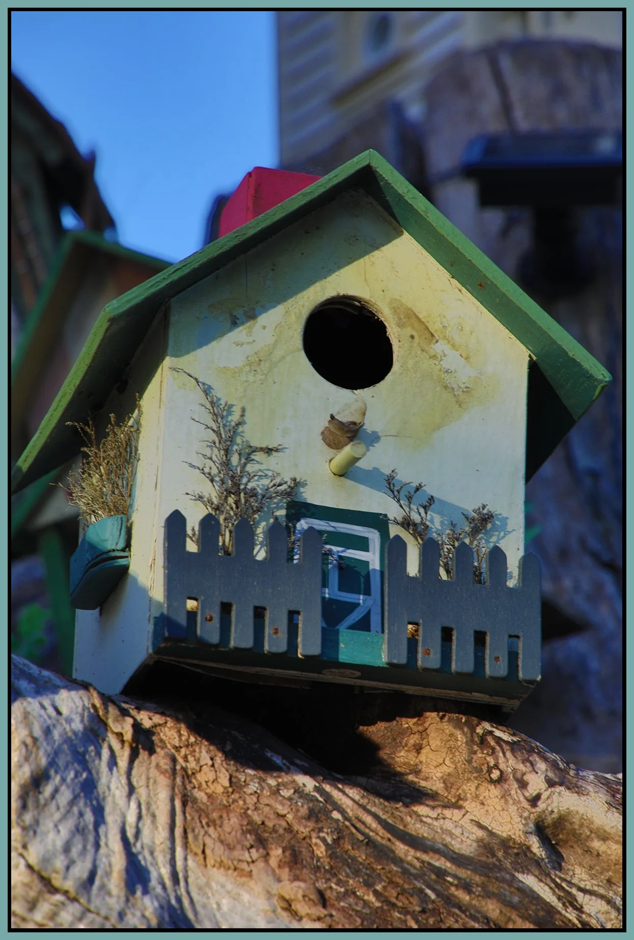 580 Heatley St Tree Houses_May 8_2024_HDR_5E4998_4x6s.jpg