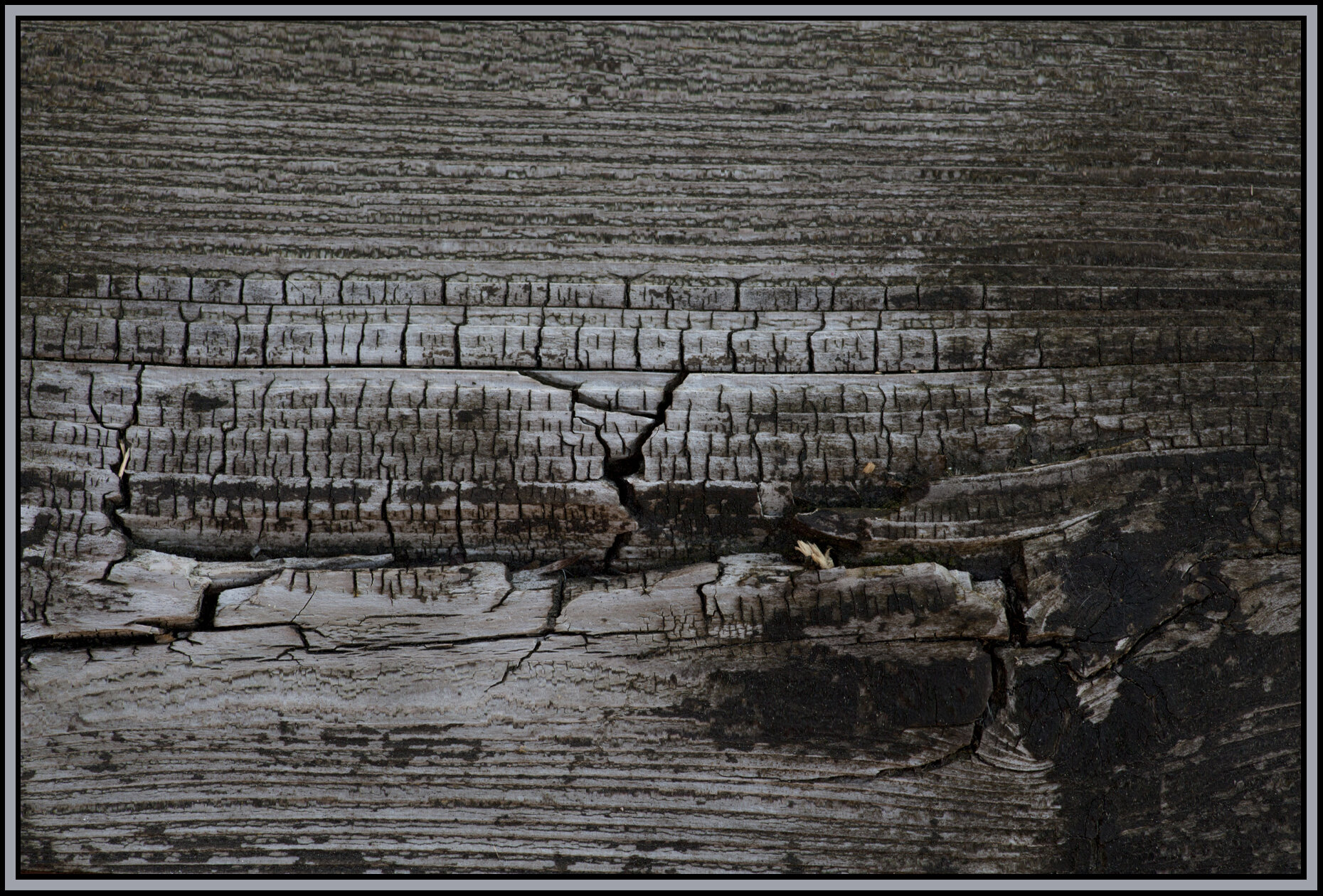 Wood Grain_Jun 20_2012_1393_4x6s.jpg