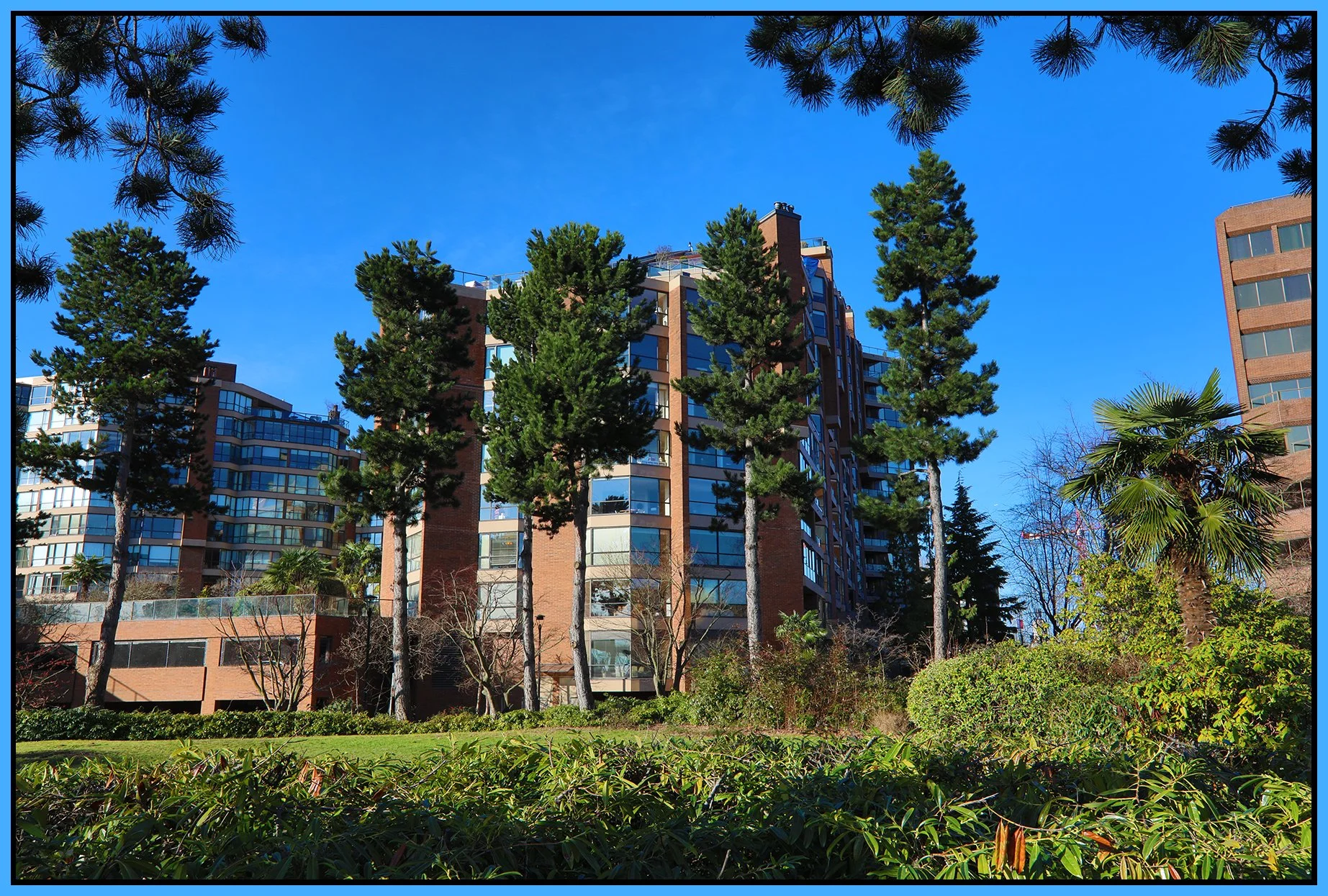 Creekside Park Trees_Feb 6_2024_HDR_4H2835_4x6s.jpg