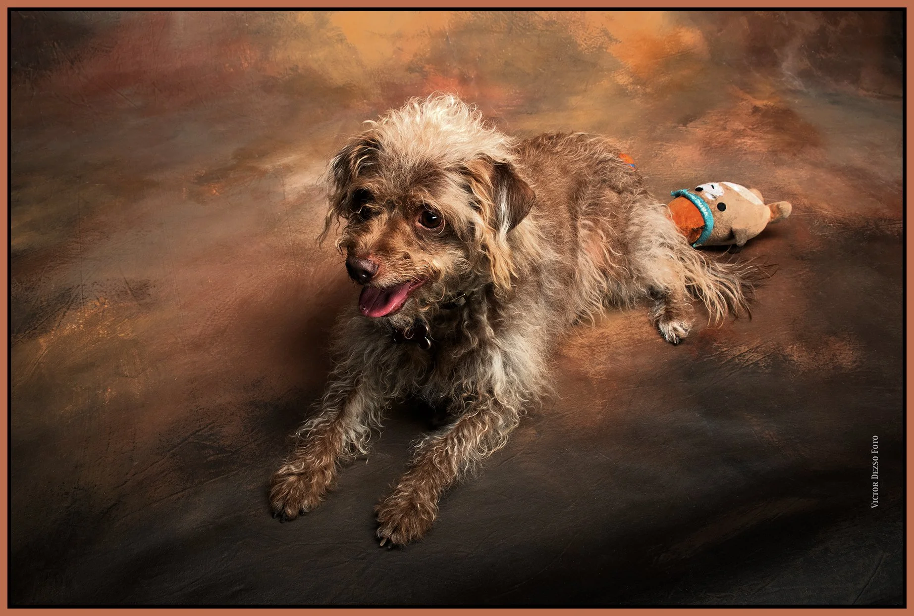 Frances_Jun 11_2023_4H7693_peGlossyCover_4x6s.jpg