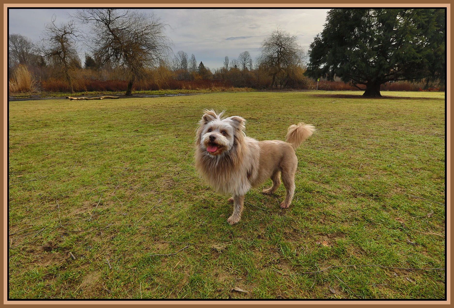 Baxter at Trout Lake_Mar 4_2021_HDR_5A3554_4x6s.jpg