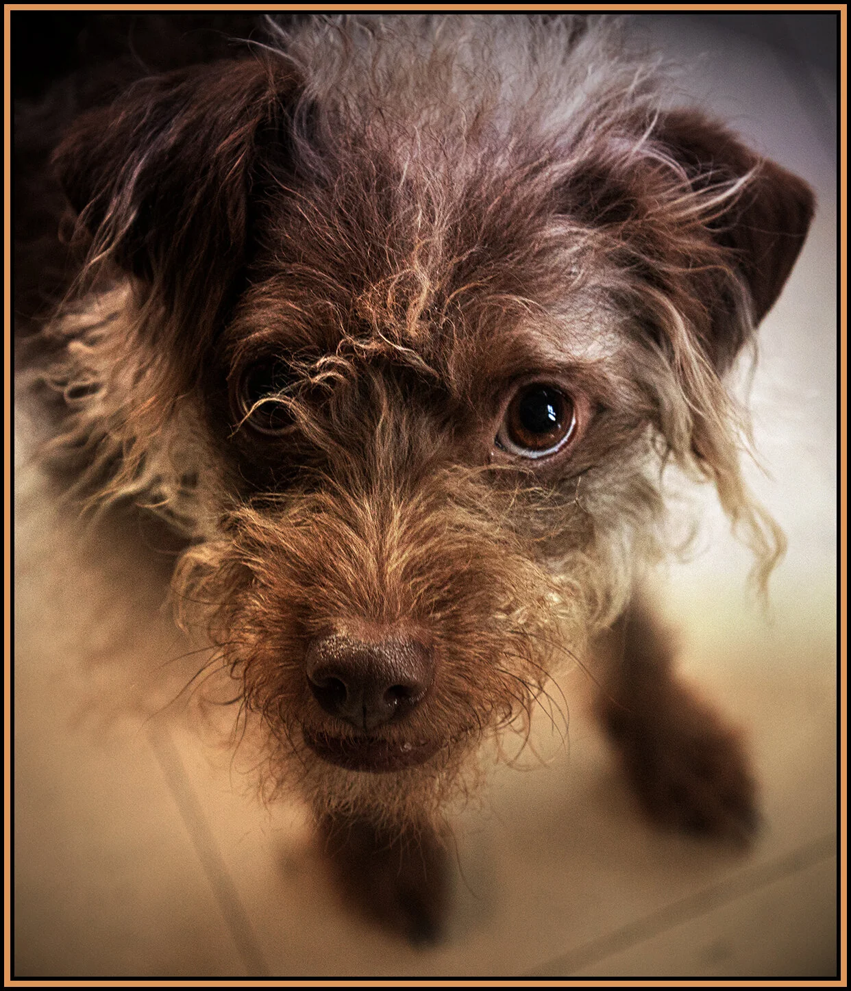 Frances_May 2_2018_CR2_C6843_peIntnSunst_1_4x5s.jpg