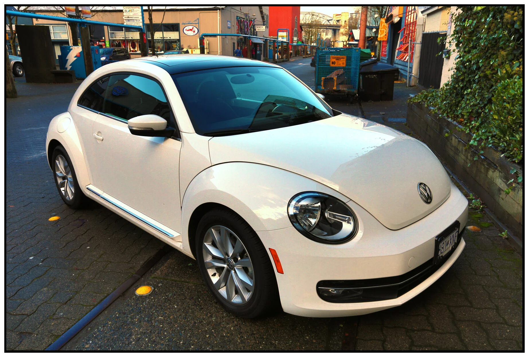 VW Bug_GrIs_Dec 1_2013_HDR_D9742a_4x6s.jpg