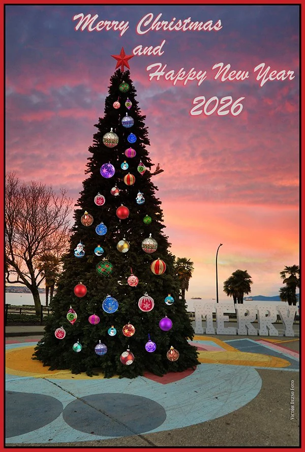 English Bay Xmas Tree_Nov 29_2025_HDR_4K5599_peEnhanceSky-sunset_1_4x6ss.jpg