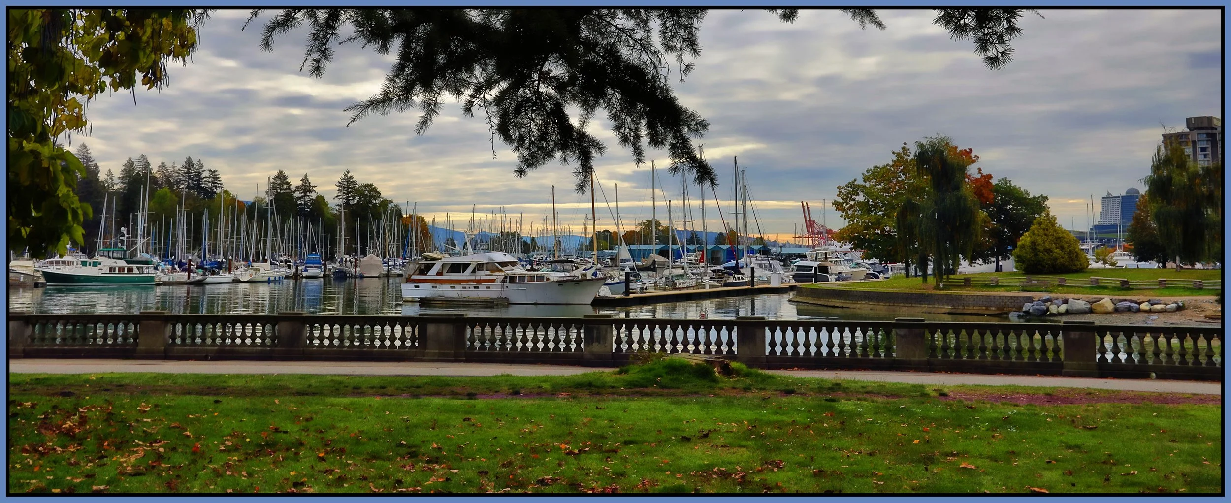 Stanley Park Coal Harbour_Oct 8_2021_HDR_5A5844_Pan_peShdingCntrst_4x10s.jpg