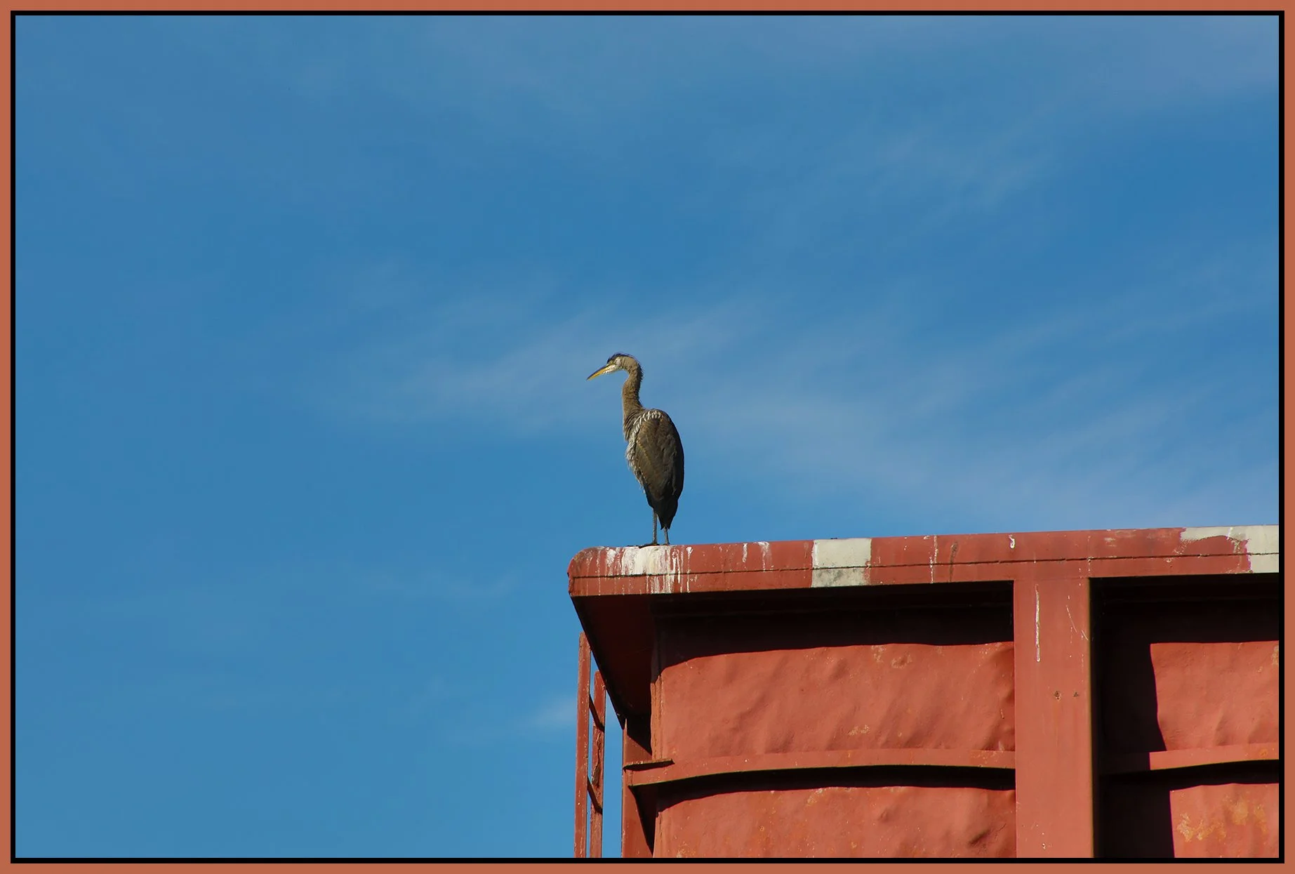 Blue Herron Sentinel_Jul 21_2022_HDR_4H1019_4x6s.jpg
