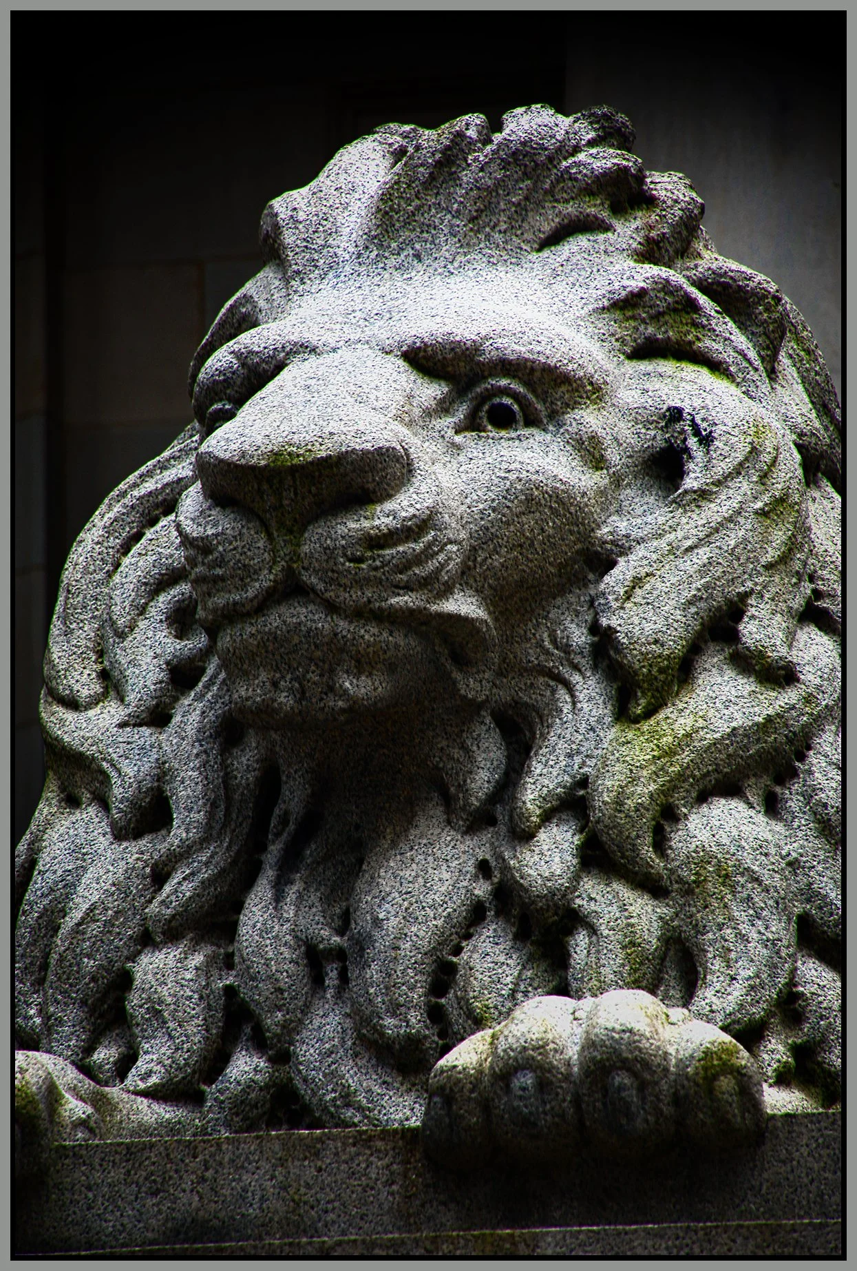 Art Gallery Lion_Jan 24_2022_HDR_5A7772_peDrkn&ImpC_ShrpfctBr_4x6s.jpg