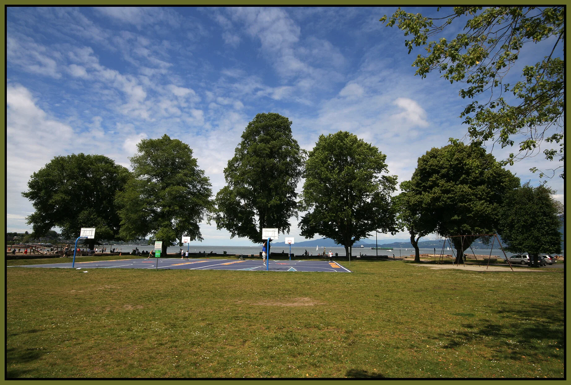 Kits Beach Trees_July 2007_1296_4x6s.jpg