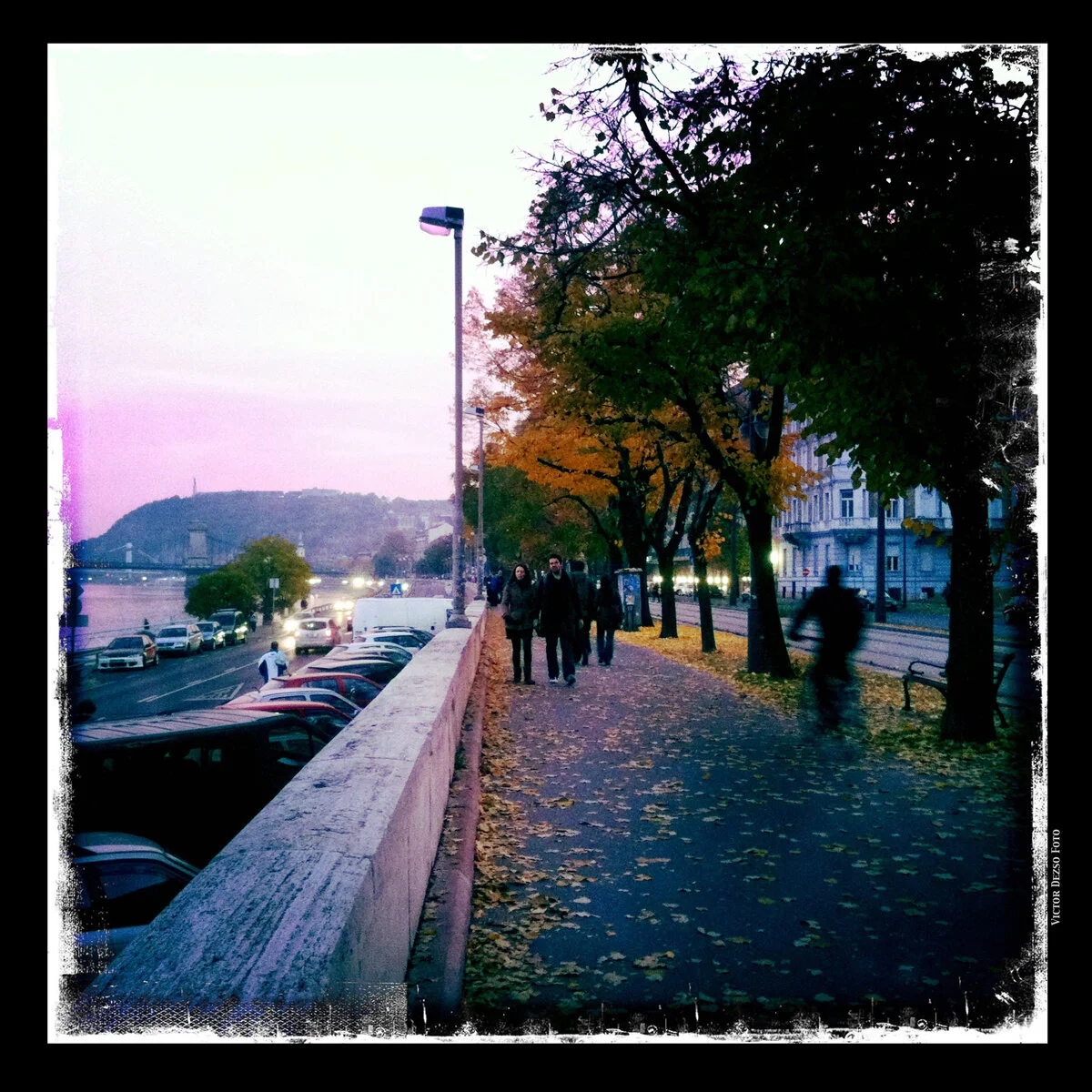 Budapest_Oct 29_2011_1104_4x4.jpg