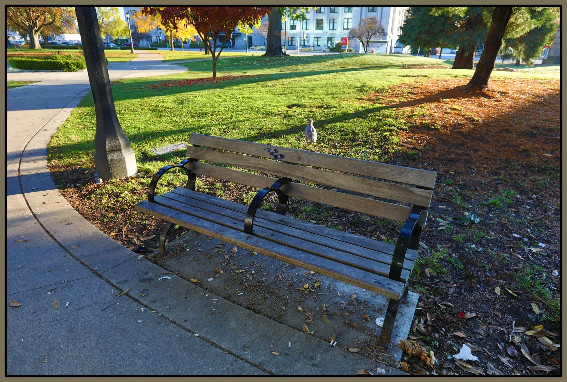 Bench in Thornton Pk_Oct 29_2017_HDR_B5252_4x6s.jpg