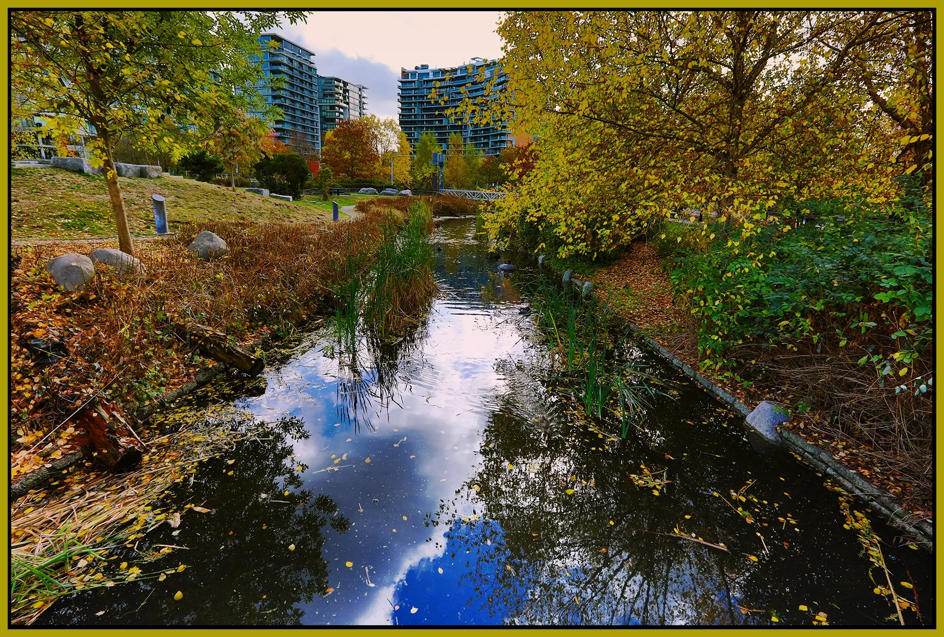 False Ck Creek_Oct 29_2022_HDR_5C4536_peEwgt_4x6s.jpg