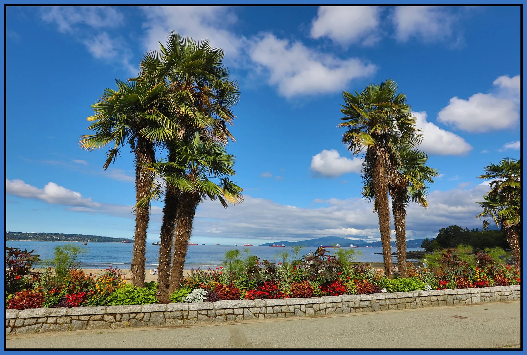 English Bay Palms_Aug 7_2025_HDR_4H0166_4x6s.jpg